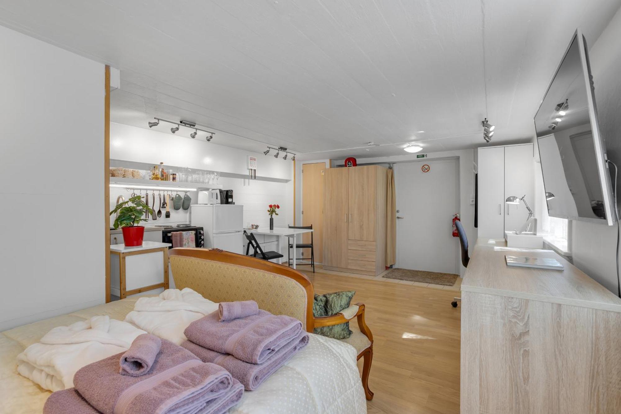 Lara Studio In Laugardalur Valley, Reykjavik Central Park And Botanical Garden, Private Entrance, Free Private Parking On Side Екстер'єр фото