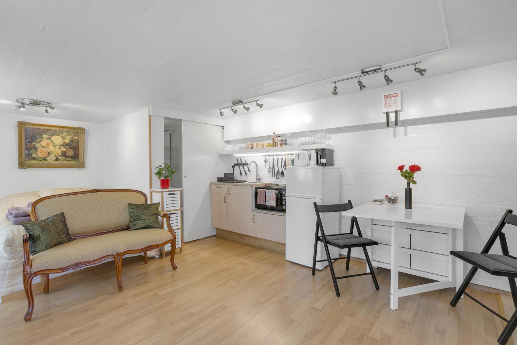 Lara Studio In Laugardalur Valley, Reykjavik Central Park And Botanical Garden, Private Entrance, Free Private Parking On Side Екстер'єр фото